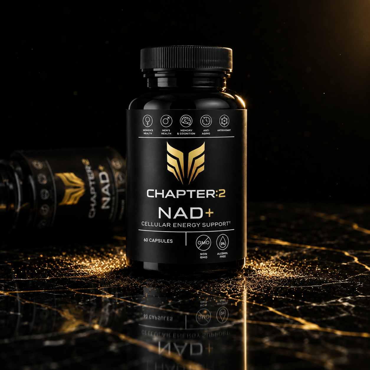 CHAPTER 2 NAD+ CAPSULES