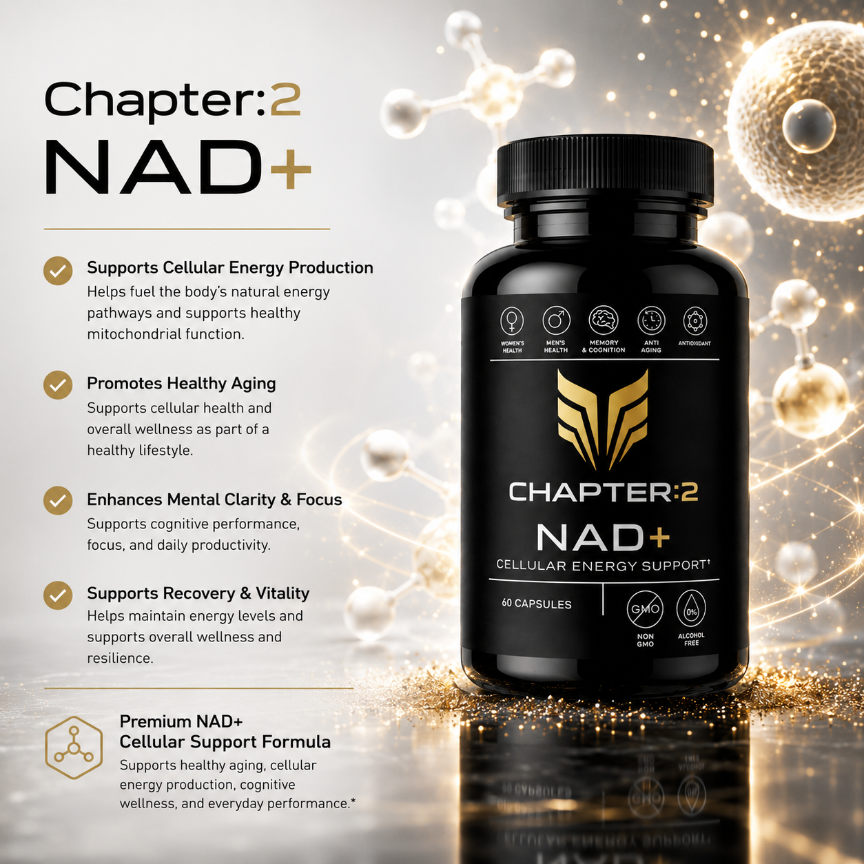 CHAPTER 2 NAD+ CAPSULES